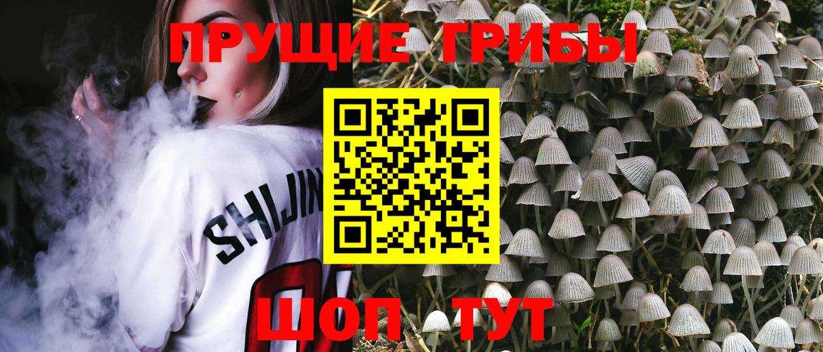 Псилоцибиновые грибы Cubensis  Галлюциногенные грибы MAGIC MUSHROOMS  Сергиев Посад  Вход с VPN 